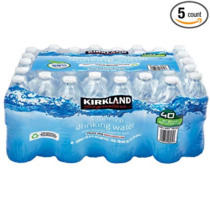 Kirkland Signature Purified Drinking Water, 16.9 Ounce